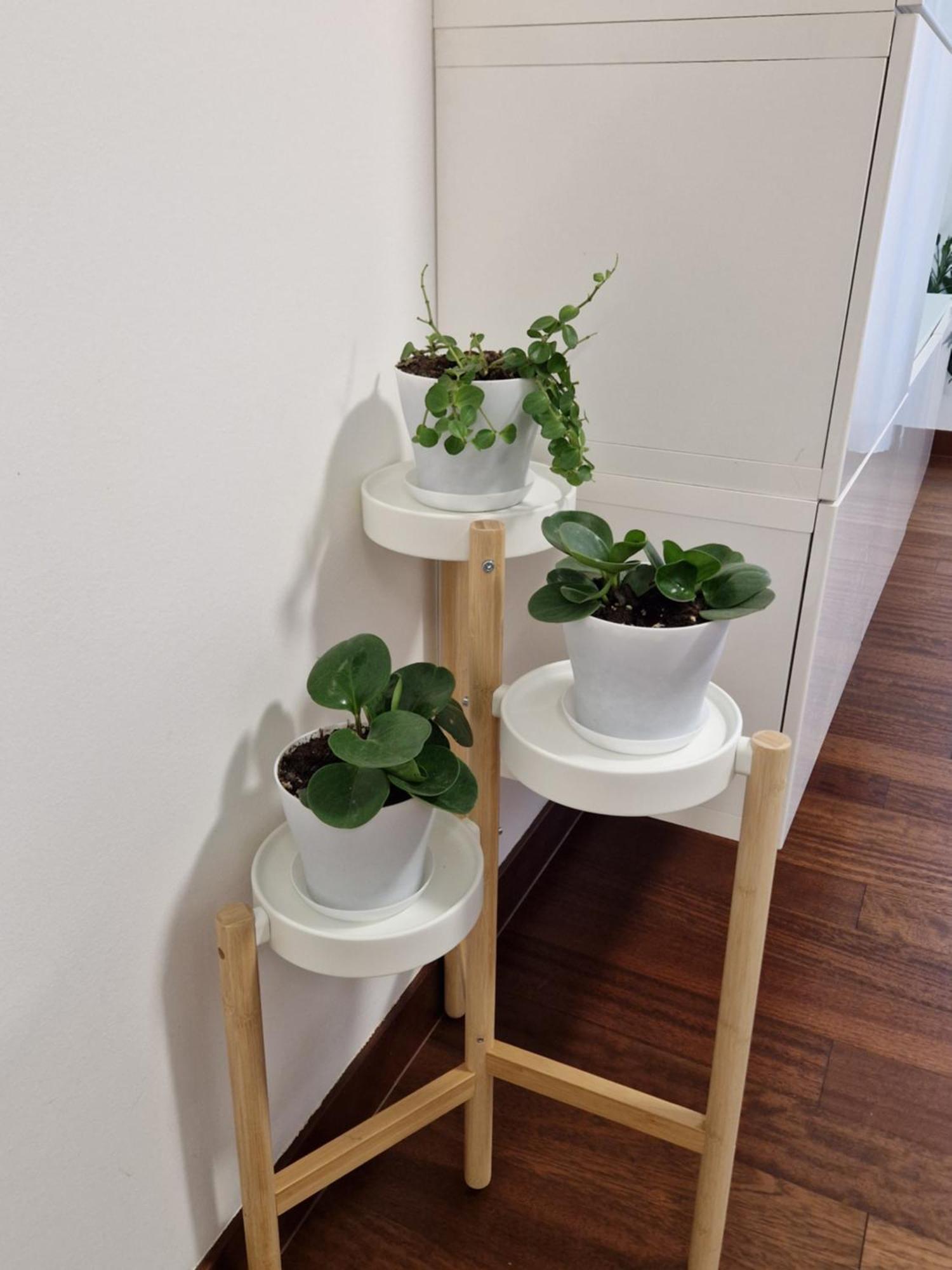 La Casa Di Vale Muse Apartamento